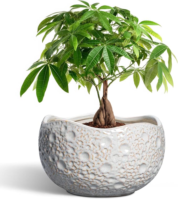 10 Inch Planter - Ceramic Pots for Plants with Drainage Hole and Plug, Modern Planters for Indoor Outdoor Plants, Round Unique Flower Pot, Decorative Planter, House Decor, Home Gifts, Grey