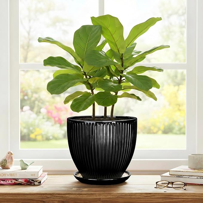 8 Inch Plant Pot, Ceramic Planter with Drainage Hole and Saucer, Modern Planters for Indoor Plants, Indoor Planter, Decorative Round Flower Pot, Apartment Decor, Plant Lover Gifts, Black