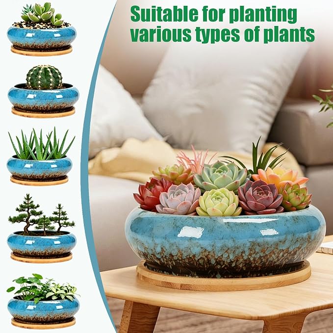 Drzewo Succulent Pots, Succulent Pots with Drainage & Bamboo Tray, 7-Inch Ceramic Drip Glazed Shallow Planter Container Bowl for Indoor Outdoor Plants, Decorative Garden Cactus Flower