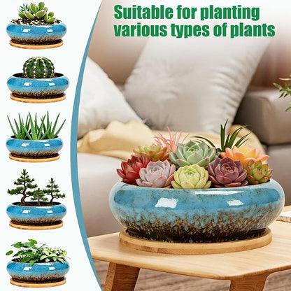 Drzewo Succulent Pots, Succulent Pots with Drainage & Bamboo Tray, 7-Inch Ceramic Drip Glazed Shallow Planter Container Bowl for Indoor Outdoor Plants, Decorative Garden Cactus Flower