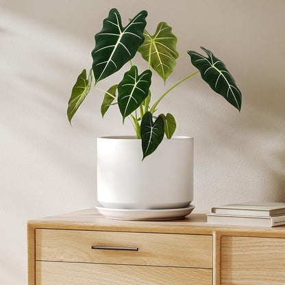 LE TAUCI Ceramic Pots for Plants, 8 Inch Plant Pot with Drainage Hole & Saucer, Modern Minimalist Planters for Indoor Plants, Round Flower Pot for Snake Plant, Monstera, Perfect for Home Decor, White