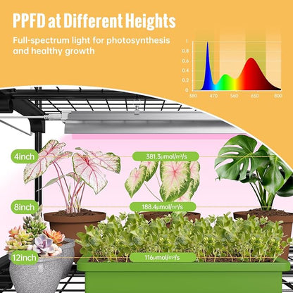 Indoor Greenhouse with Grow Light, 4-Tier Plant Shelf with T5 1.6FT 32W Full Spectrum LED Grow Light for Seed Starting, Succulent, Settable Timer Socket, 39" L x 19" W x 64" H