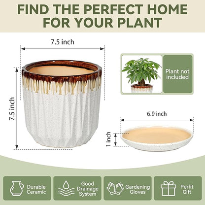 7.5 Inch Ceramic Planter Pot with Saucer Drainage Leak-Proof Mesh,Flower Pots for Indoor Plants with Gardening Gloves,Ceramic Planter(Linen White)