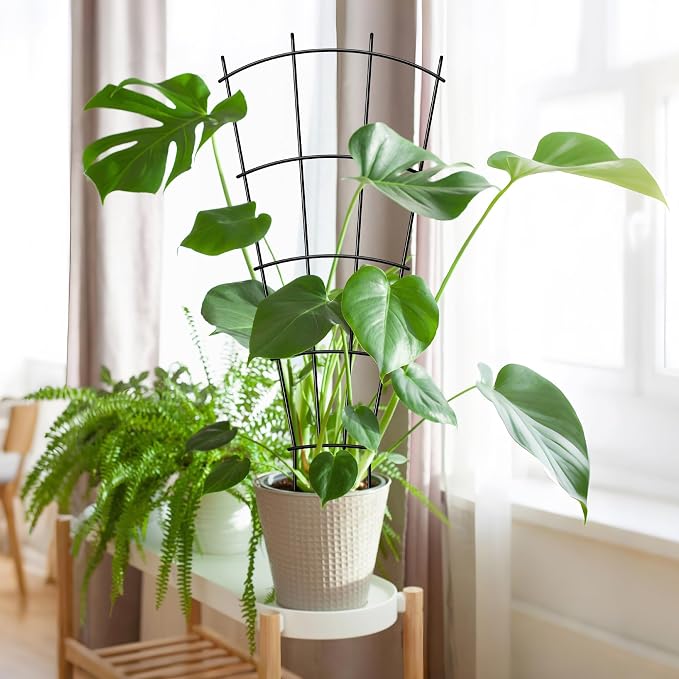 Thealyn 8 Pack 32" Metal Plant Trellis for Pots & Garden Beds, Rustproof Support for Indoor Outdoor Climbing Plants, Vines, Flowers, Fan Shaped, Black