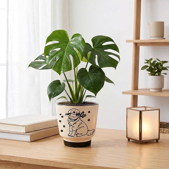 Ceramic Planter 5 Inch Plant Pots Indoor Succulent Plant Pot Cute Flowerpot | Unique Dog Pattern for Home, Garden, Patio and Office Decor