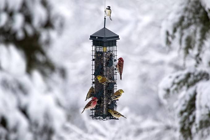 Squirrel Solution200 Squirrel-proof Bird Feeder w/6 Feeding Ports, 3.4-pound Seed Capacity, Free Seed Funnel | Powder-Coated Metal Shroud, Spring-Loaded Weight-Closing, Polycarbonate Tube, Includes Seed Funnel