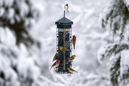 Squirrel Solution200 Squirrel-proof Bird Feeder w/6 Feeding Ports, 3.4-pound Seed Capacity, Free Seed Funnel | Powder-Coated Metal Shroud, Spring-Loaded Weight-Closing, Polycarbonate Tube, Includes Seed Funnel