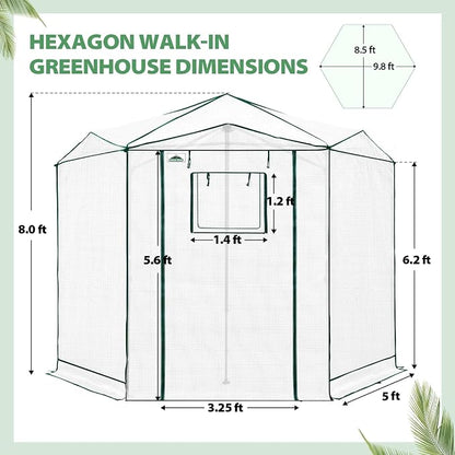 EAGLE PEAK 8.5x8.5 Portable Walk in Greenhouse, Pop Up Indoor Outdoor Greenhouse, Green House Kit with Zippered Roll-Up Doors and Windows, Hexagon Design, PE Cover, Clear/White