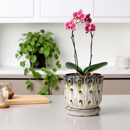 Orchid Pots 4.9 inch Round Ceramic Orchid Pots with Holes Set of 2 (SkyBlue+White with Lemon Green)
