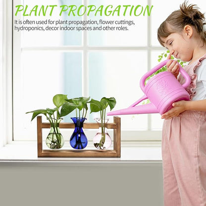 Plant Propagation Station Plant Terrarium Unique Birthday Gifts for Women | Plant Lovers Home Office Decor Planter with Wooden Stand - 3 Bulb Glass Vase