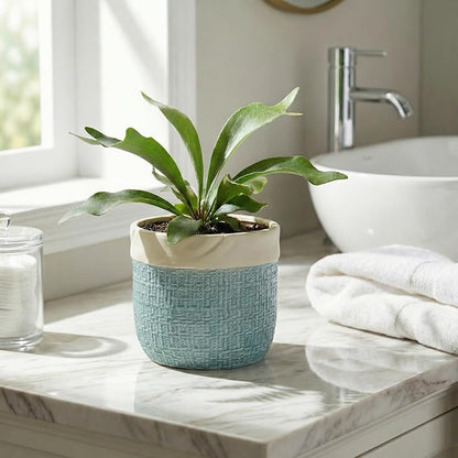 Ceramic Pots for Plants - 6 Inch Plant Pot for Indoor Succulent Plants, Round Planters with Drainage Hole, Decorative Flower Pots, Garden House Room Decor, Gardening Gifts for Women, Blue