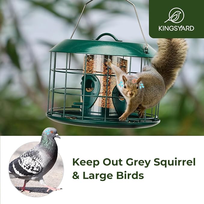 Kingsyard Tube Squirrel Proof Bird Feeders for Outdoor Hanging, Metal Caged | Rain Proof Covered, Wildbirds Finches Bluebird, 4 Feeding Ports, Green