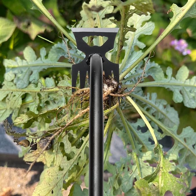Gardening Hand Weeder Tools, Weeding Artifact Uprooting Weeding Tool, Durable Manganese Steel Hand Weeder Tool, Manual Multifunctional Weeders Gardening Tools for Yard and Garden (6 Teethes), 2 Pack