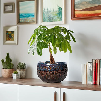 Ceramic Planter - 8 Inch Plant Pots with Drainage Hole and Plug, Unique Flower Pots for Indoor Outdoor Plants, Round Decorative Pots for Plants, Home Decor, Graduation Gifts, Brown-Blue