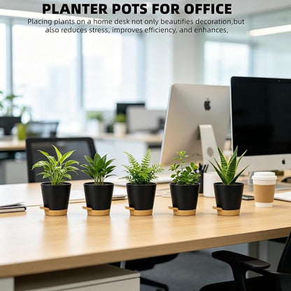 12 Pack 4 Inch African Violet Pots Self Watering, Self-Watering Planters with Drainage Holes & Reservoir, Black Brown Plastic Pots for Indoor Outdoor Plants, Succulents & Flowers