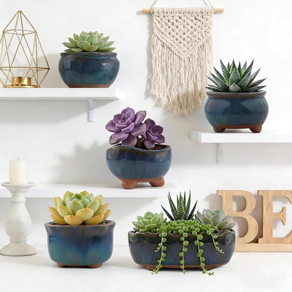 Ceramic Succulent Garden Pots Small Plant Planter Container with Drainage Set of 5 for Home Office Decor