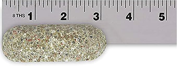 Jobe’s Garden Fertilizer Spikes, Organic Fertilizer for Azaleas, Camellias, Rhododendrons, and Other Acid Loving Plants, 10 Spikes (Pack of 12)