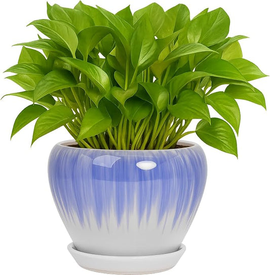 Deep Dream 6 Inch Plant Pots- Ceramic Planter Pot with Drainage Hole and Saucer, Round Flower Pot for Indoor Outdoor Succulent, Snake Plants and Cactus, White&Blue