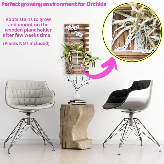 ShopLaLa Wall Planter - Wooden Hanging Planter for Indoor Plants, Plant Stand, Air Plant Succulent Holder, Vertical Garden. Large Wall Decor for Living Room, Room Decor for Teens, 60cm (23.6") | Air Plant Succulent Holder, Plant Stand, Vertical Garden ...