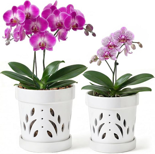STHIE Orchid Pots, 5 + 6 Inch Ceramic Orchid Pots with Holes, Orchids Planter for Repotting, 2 Pack Promoting Air Circulation, White Flower Pots with Removable Trays