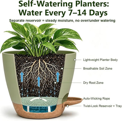 Plant Pots for Indoor 9/8/7/6.5/6/5 Inch, Self Watering Planter Pots with Drainage Holes and Saucers, 6Pcs Plastic Flower Pots for Indoor & Outdoor Plants（Green）