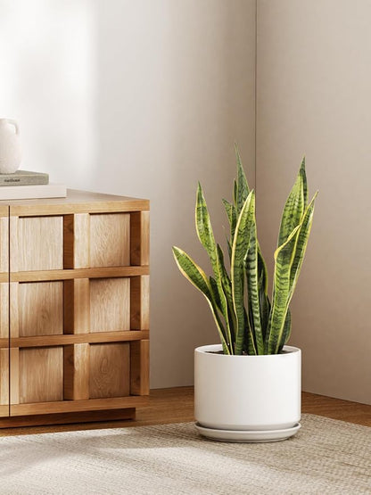 LE TAUCI Ceramic Pots for Plants, 10 Inch Plant Pot with Drainage Hole & Saucer, Sturdy & Modern Planters for Indoor Plants, Includes Mesh Screen, Fits Snake Plant & Monstera, White