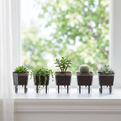 Self Watering Pots Set, 5 Pack 2.7 Inch Self Watering Pots for Indoor Plants, Clear Planter Pot with Deep Reservoir for Spider Plant, Orchid, African Violet (5Pcs Small)