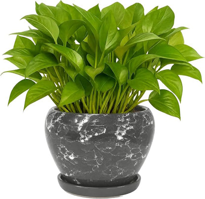 Deep Dream 6 Inch Plant Pots- Ceramic Planter Pot with Drainage Hole and Saucer, Round Flower Pot for Indoor Outdoor Succulent, Snake Plants and Cactus, Gemstone Gray