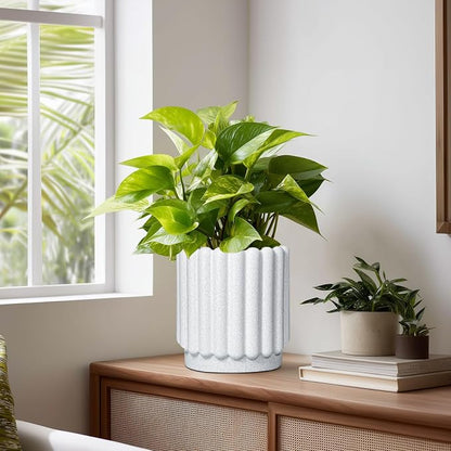 Ceramicfor Ceramic Planter, 7.6 Inch, White | Indoor Plants, Outdoor Use, Drainage Hole, Fluted Modern Design, Round Flower Pot