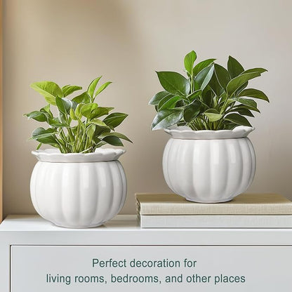 African Violet Pots, Self-Watering Ceramic Planter – 6 Inch Pot for Indoor Plants, Succulents, Herbs & Small Houseplants, Simple Self-Watering Design for Home & Office Décor, White