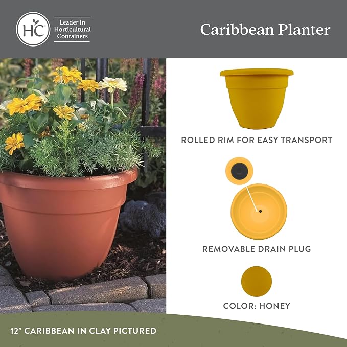 The HC Companies 12 Inch Caribbean Planter Pots with Drainage & Plug, Rolled Rim Plastic Planters for Indoor & Outdoor Plants, 2-Pack Decorative Flower Pots for Garden, Office & Home Decor, Honey