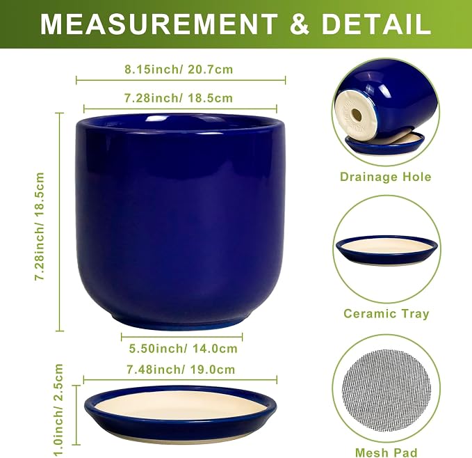 8 Inch Ceramic Plant Pot - Decorative Round Planter for Indoor Plants with Drainage Hole and Saucer, Home House Room Office Garden Decor, Blue