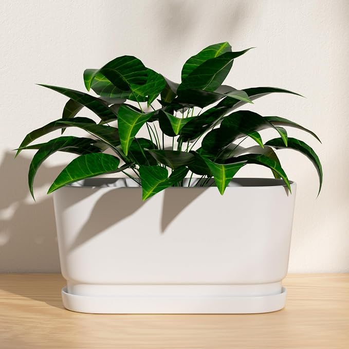 13" Rectangular Ceramic Planter with Drainage and Saucer, White | Indoor Outdoor Use, 13"L x 5.5"W x 6.3"H, Modern Home Decor, Window Box Planter, Matte White
