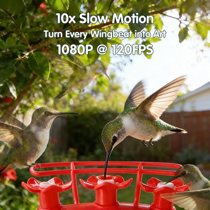 Hummingbird Feeder with Camera, 4K Ultra HD Video at 30fps, 10x Slow-Motion at 120fps,1.9in Closer Focus, No Subscription,Leak Proof, Ant Moat,Solar Powered, 2.4G&5G Wi-Fi,Bird Lover Gift