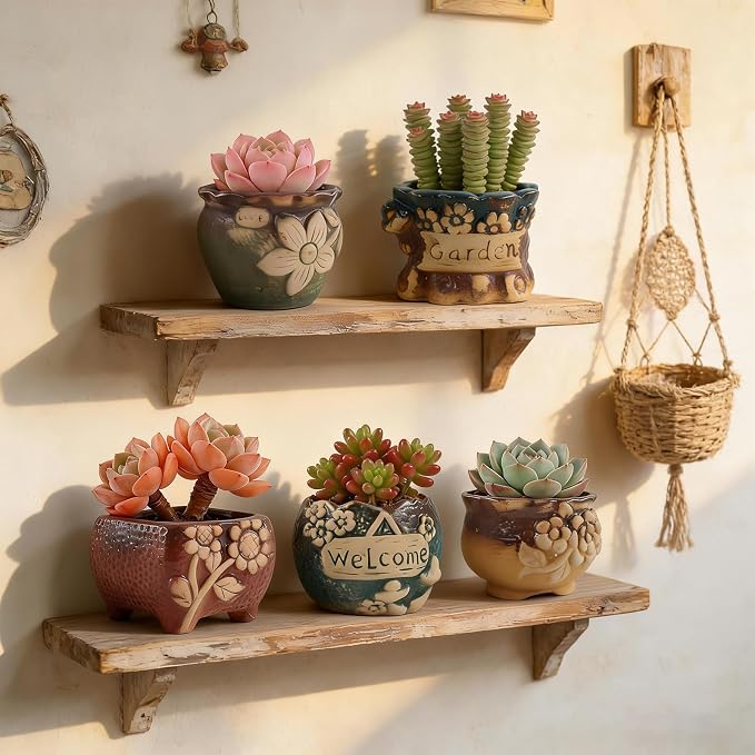 Succulent Ceramic Garden Pots Small Plant Planter Container with Drainage Set of 5 for Home Office Decor
