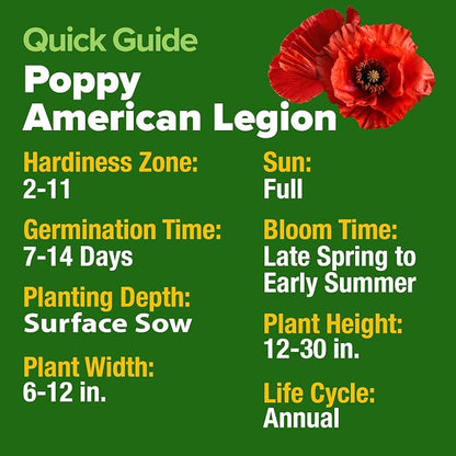 HOME GROWN American Legion Red Poppy Seeds - 6,000 Vibrant Wildflower Seeds for Planting Outdoors - Annual Poppy Flowers - Memorial Garden & Pollinator Friendly (Papaver rhoeas)
