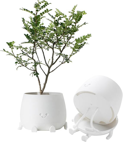 TOPOLA Happy Face Planter, 5.2 Inches Plastic Plant Pot, Self Watering Plant Pot with Drainage Holes for Indoor Outdoor, Succulent Pot, Funny Flower Pot, White