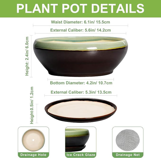 SQOWL Succulent Pots 6 Inch - Shallow Ceramic Planter, Bonsai Pot with Drainage Hole and Saucer, Round Ceramic Succulent Planter for Indoor Outdoor Plant, Kitchen Decor, Plant Lover Gift, Green-Brown