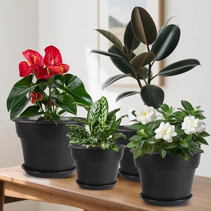 Myfeegoin 6-inch-Plant-Pots-Indoor-Outdoor, 6 Pack Plastic Planters with Drainage Holes & Saucers, Resin Flower Pots with Trays, Classic Garden Pot Container for House