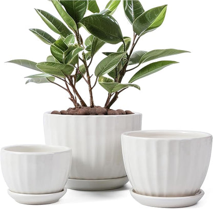 STHIE Ceramic Plant Pots with Drainage Holes and Saucers, Round White Flower Pots for Indoor Plant, Diameter 3.3/4.3/5.5 Inches Small Flower Planters Set of 3