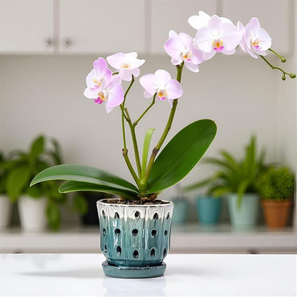 Orchid Pots 4.9 inch Ceramic Orchid Pots with Holes Set of 2 Cream Over Turquoise