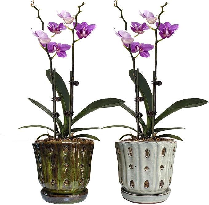 Orchid Pots 4.9 inch Ceramic Orchid Pots with Holes Set of 2 (mossgreen+White)