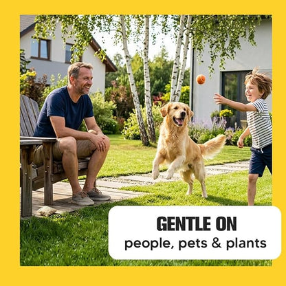 Mosquito Repellent Outdoor Patio,Mosquito Deterrent for Yard,Mosquito Repellent Indoor,Mosquito Repellant for Room,Mosquito Deterrent for Patio,Plant-Based Ingredients-12P