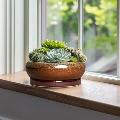 Bonsai Pots - 10 Inch Ceramic Succulent Pots with Drainage Hole and Saucer, Bonsai Planter for Indoor Outdoor, Large Shallow Planter Bowl, Office Decor, Gifts for Plant Lovers, Retro Brown