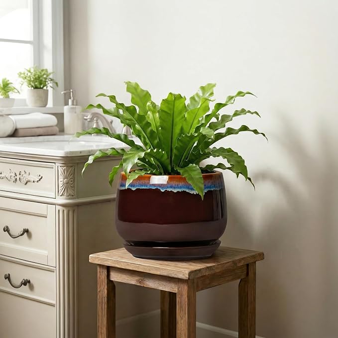 9 Inch Flower Pots - Ceramic Planter with Drainage Hole and Saucer, Decorative Ceramic Pots for Indoor Plants, Round Plant Pot, Garden Home Living Room Decor, Housewarming Gifts, Brown-Blue