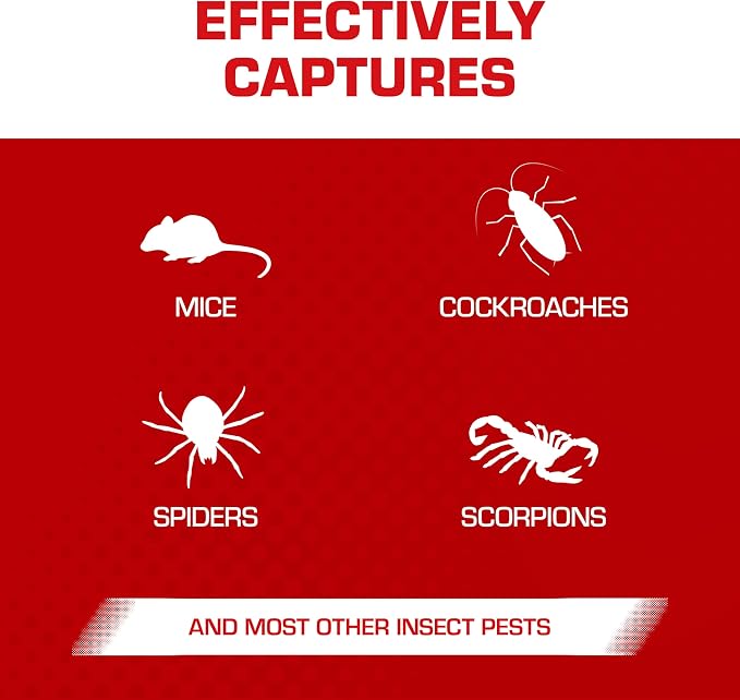 Tomcat Glue Traps Mouse Size with Eugenol for Enhanced Stickiness, 6 Traps | Sticky Pads For Mice, Cockroaches, and Spiders