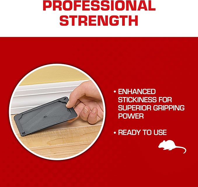 Tomcat Glue Traps Mouse Size with Eugenol for Enhanced Stickiness, 6 Traps | Sticky Pads For Mice, Cockroaches, and Spiders