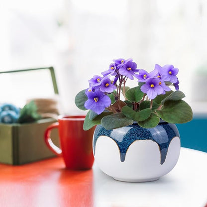 African Violet Pots, 6 Inch Self Watering Pots for Indoor Plants, Easy Plant Self Watering Planter, Ceramic Plant Pot with Absorbent Inner Pot for Flowers - Gradient Blue (No Plants)
