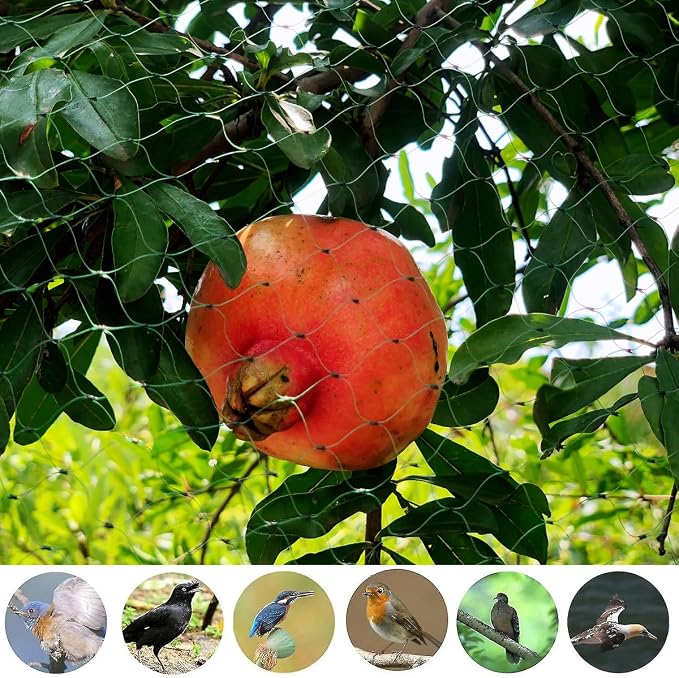 Bird Netting for Garden 6.5X50 FT, 1/4 Inch Mesh, Protect Blueberry, Strawberry, Tomatos, Vegetables. Fruit Tree Netting for Cicadas Against Deers, Squirrels, Bunnies, and Small Critters.