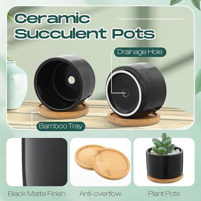 Cindeer 12 Sets Succulent Plant Pot Ceramic Succulent Pots Container Cactus Pots with Bamboo Tray Small Cylinder Flower Plant Pot with Bamboo Saucers for Plants Indoor Outdoor (Black,3 x 2.17 Inch)